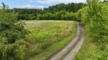 Prodej pozemku 7548 m², Liběchov