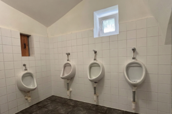 Pisoáry/Sociální zařízení - Prodej domu 302 m², Černousy