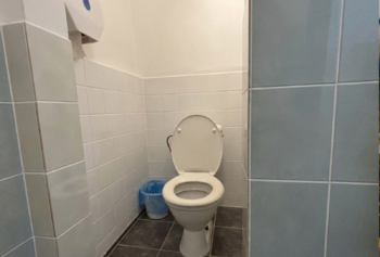 Toaleta - Prodej domu 302 m², Černousy