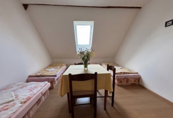 Pokoj 1 - Prodej domu 302 m², Černousy