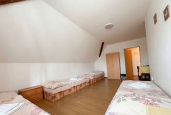 Pokoj 4 - Prodej domu 302 m², Černousy