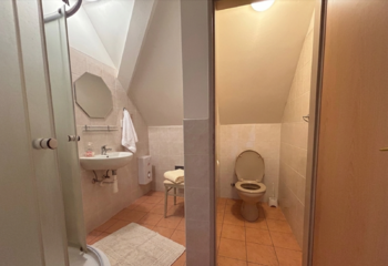 Koupelna/Toaleta - Prodej domu 302 m², Černousy