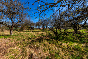 Prodej chaty / chalupy 100 m², Tehov