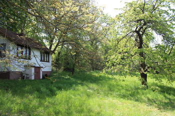 Prodej pozemku 2029 m², Zvánovice