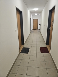 chodba - Pronájem bytu 2+kk v osobním vlastnictví 48 m², Praha 5 - Zličín