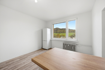 Pronájem bytu 1+1 v osobním vlastnictví 34 m², Děčín