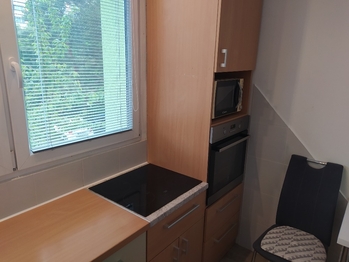 Pronájem bytu 1+1 v osobním vlastnictví 37 m², Brno