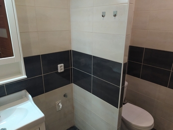 Pronájem bytu 1+1 v osobním vlastnictví 37 m², Brno