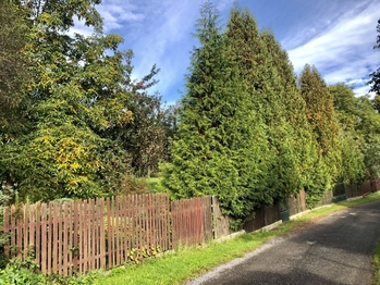 Prodej pozemku 973 m², Křečovice