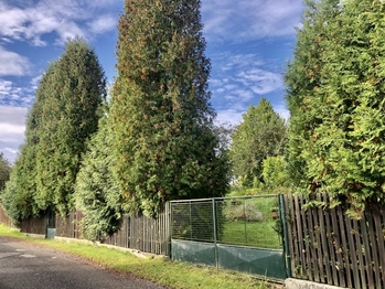 Prodej pozemku 973 m², Křečovice