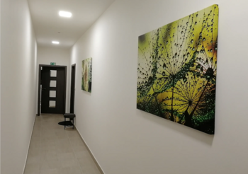 Prodej nájemního domu 715 m², Trutnov