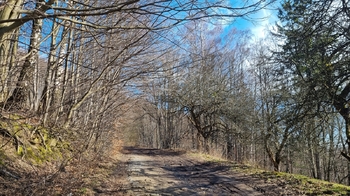 Prodej pozemku 285345 m², Vsetín