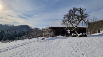 Prodej pozemku 285345 m², Vsetín