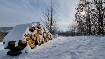 Prodej pozemku 285345 m², Vsetín