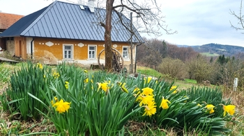 Prodej pozemku 285345 m², Vsetín