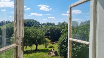 Prodej pozemku 285345 m², Vsetín