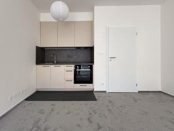 Pronájem bytu 1+kk v osobním vlastnictví 35 m², Praha 9 - Vysočany