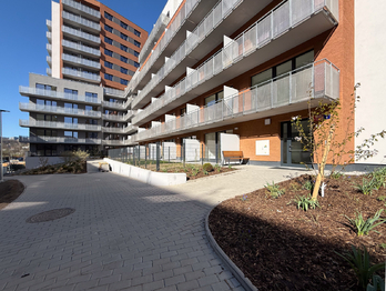 Pronájem bytu 1+kk v osobním vlastnictví 35 m², Praha 9 - Vysočany