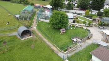 Prodej ubytovacího zařízení 703 m², Lipová-lázně