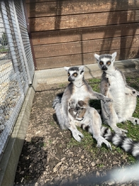 Prodej ubytovacího zařízení 703 m², Lipová-lázně