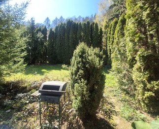 Prodej chaty / chalupy 30 m², Lanškroun