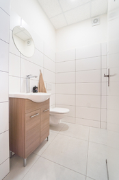 Prodej obchodních prostor 300 m², Drásov