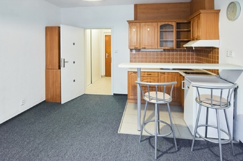 Pronájem bytu 1+kk v osobním vlastnictví 29 m², Praha 10 - Záběhlice