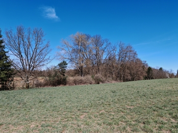 Prodej pozemku 12711 m², Úvaly