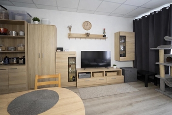 Prodej bytu 2+kk v osobním vlastnictví 56 m², Jemnice
