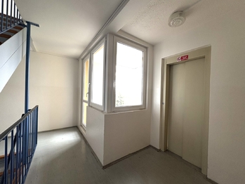 Společné prostory domu - Pronájem bytu 2+kk v osobním vlastnictví 45 m², Praha 3 - Žižkov