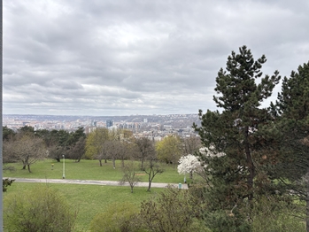 Park u domu - Pronájem bytu 2+kk v osobním vlastnictví 45 m², Praha 3 - Žižkov