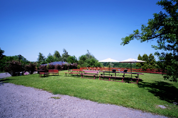 Prodej ubytovacího zařízení 16733 m², Třinec