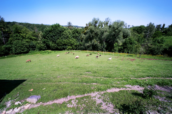 Prodej ubytovacího zařízení 16733 m², Třinec