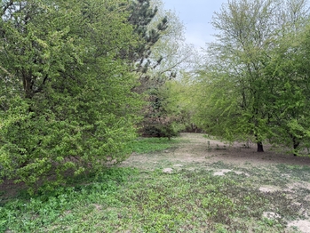 Prodej pozemku 1159 m², Vacenovice