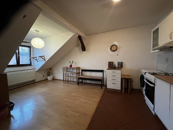 Pronájem bytu 1+kk v osobním vlastnictví 56 m², Plzeň