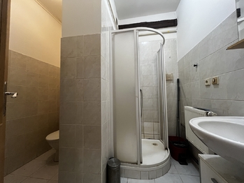 Pronájem bytu 1+kk v osobním vlastnictví 56 m², Plzeň