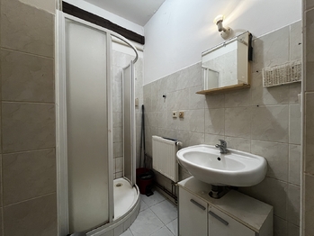 Pronájem bytu 1+kk v osobním vlastnictví 56 m², Plzeň