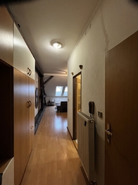 Pronájem bytu 1+kk v osobním vlastnictví 56 m², Plzeň