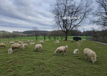 Prodej pozemku 1258 m², Kunice