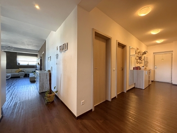 Pronájem bytu 3+kk v osobním vlastnictví 98 m², Plzeň