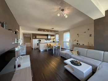 Pronájem bytu 3+kk v osobním vlastnictví 98 m², Plzeň