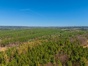 Prodej domu 215 m², Lužná