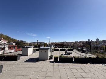 Pronájem bytu 1+kk v osobním vlastnictví 25 m², Praha 2 - Vinohrady