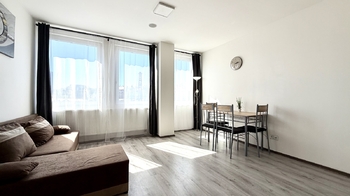 Pronájem bytu 1+kk v osobním vlastnictví 25 m², Praha 2 - Vinohrady