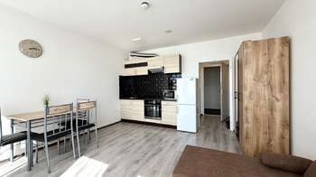 Pronájem bytu 1+kk v osobním vlastnictví 25 m², Praha 2 - Vinohrady