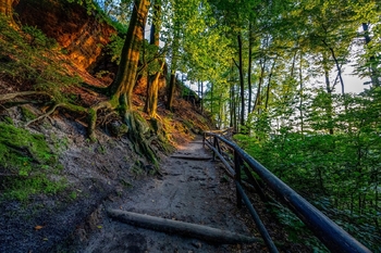 Prodej ubytovacího zařízení 435 m², Hřensko