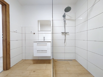 Koupelna - Pronájem bytu 1+1 v osobním vlastnictví 56 m², Ostrava