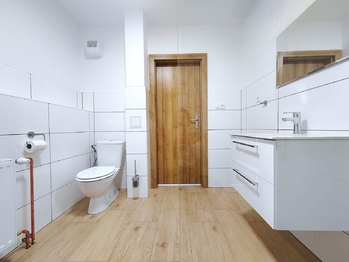 Koupelna - Pronájem bytu 1+1 v osobním vlastnictví 56 m², Ostrava