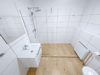 Koupelna - Pronájem bytu 1+1 v osobním vlastnictví 56 m², Ostrava