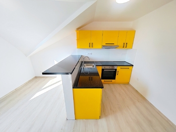 Kuchyň - Pronájem bytu 1+1 v osobním vlastnictví 56 m², Ostrava